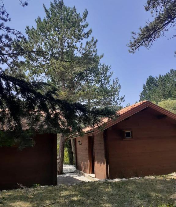 Llogara National Park Ski Chalet | The Chalet, Iliria Llogora