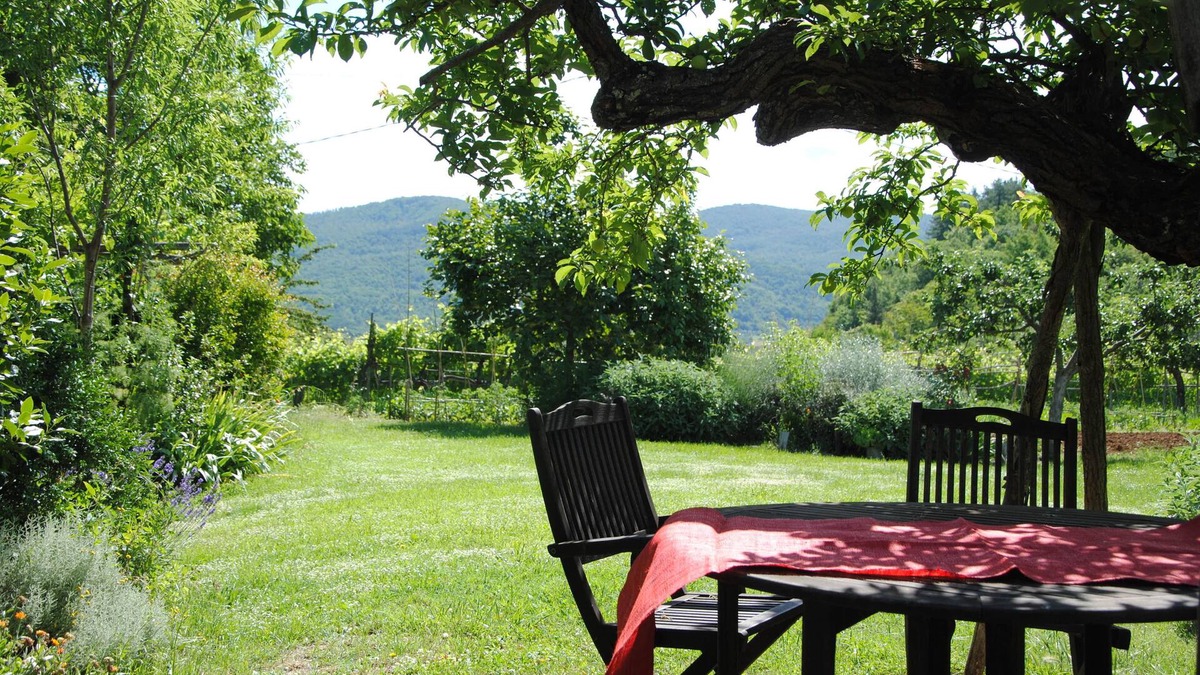 Radicondoli House | The charm of 'Il Susino' is that is situated in a centuries old farmhouse.