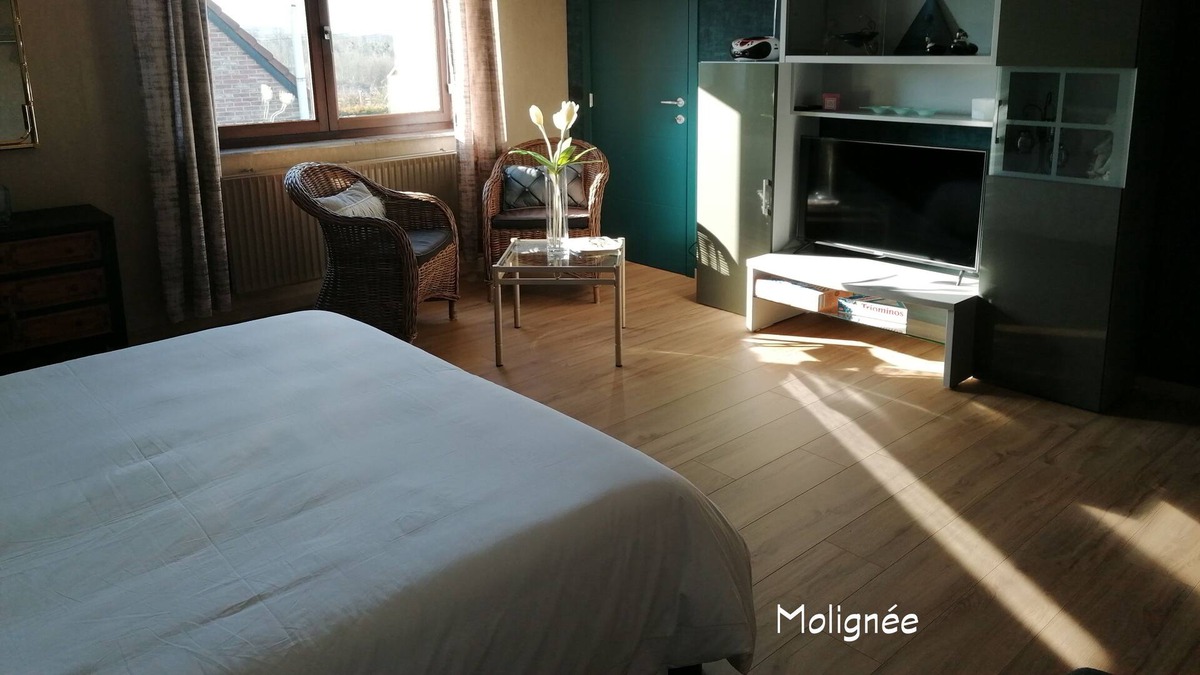 Anhee Bed & Breakfast | THE CHERRY - MOLIGNEE
