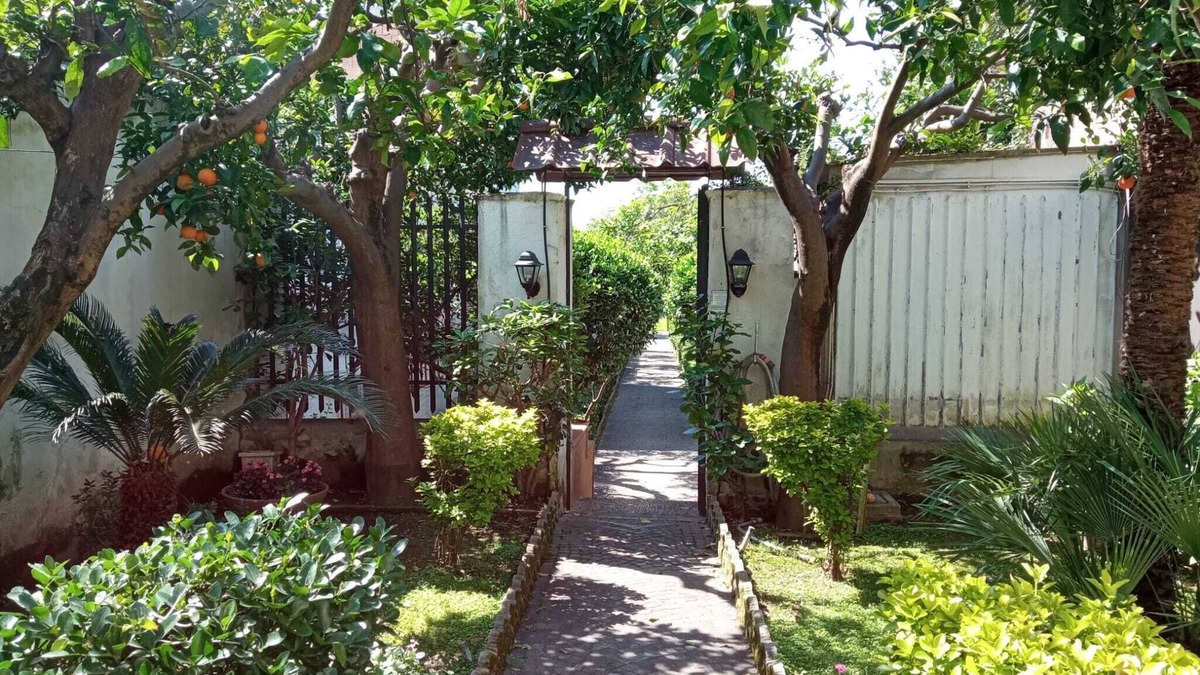 San Marco Evangelista Apartment | The Citrus Garden