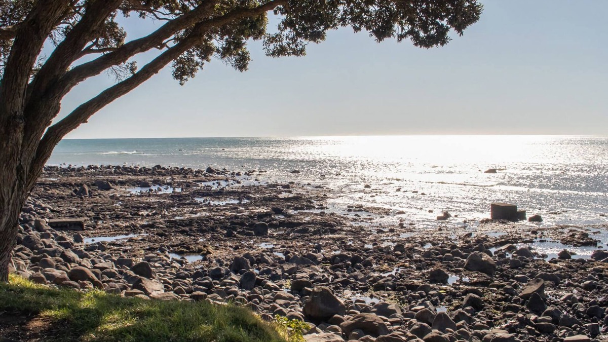 New Plymouth Cottage | THE COASTAL COTTAGE CENTRAL CITY LOCATION