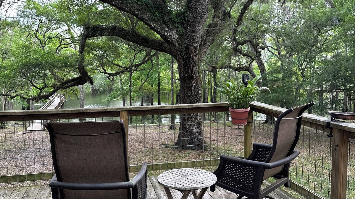 Branford House | The Confluence Cabin: Free tubing, paddle boarding + kayaking on the Ichetucknee