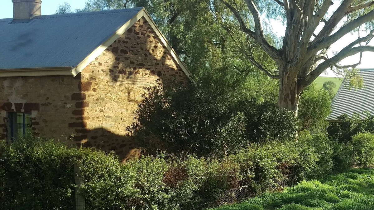 Lyndoch House | The Cottage at Riverside Farm
