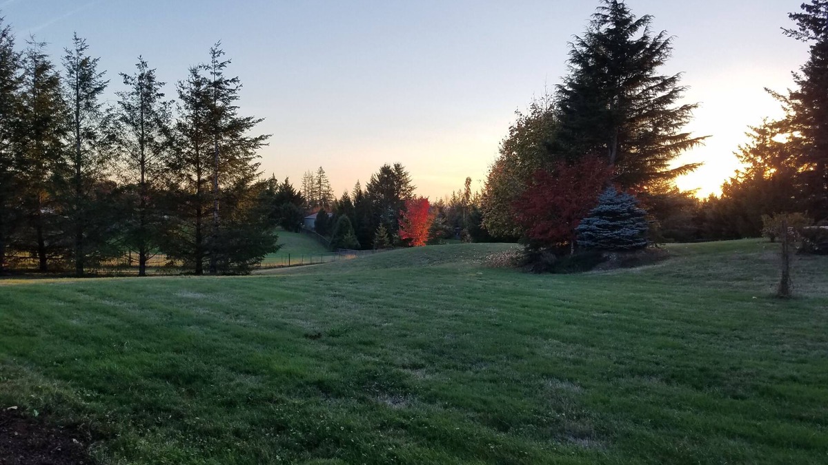 Washougal House | The Crash Pad, A private 1 bedroom, 1 bath 1200 sq ft apartment.