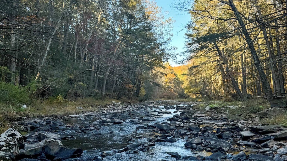 Mount Marion Apartment | The Creek House - Secluded Stay 10min to Woodstock & Saugerties