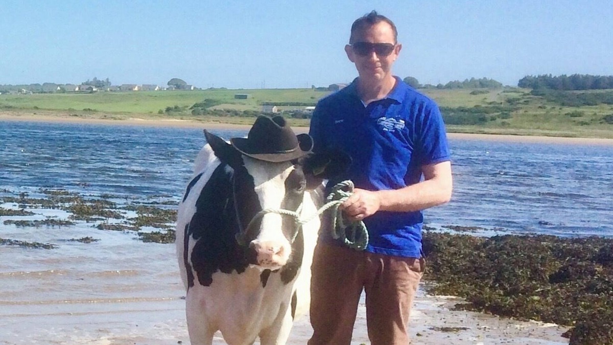 Ballyshannon House | The Cuddly Cow Cosy Barn Studio Campview Farm Stay