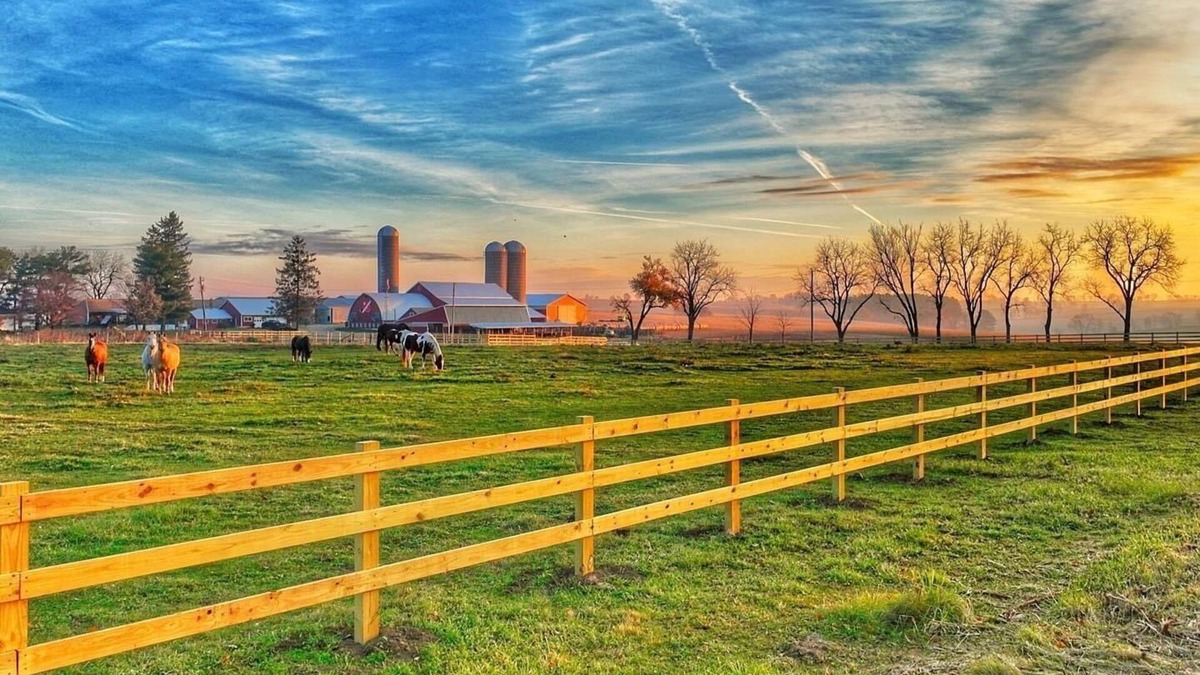 Scioto Mills Other | The Dairy at the Wegmueller Farm - stay on a Wisconsin farm!