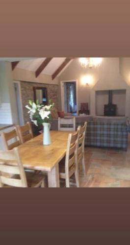 Leinster House | The Dairy Cottage Puckane