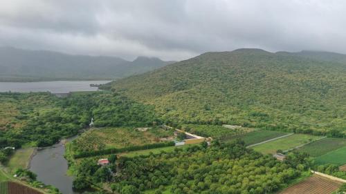 Junagadh Villa | The Deck