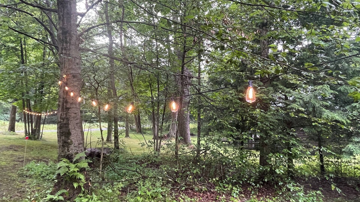 James City Cabin | The Den: a cozy, rustic cabin in Kane off the beaten path near prime ATV trails