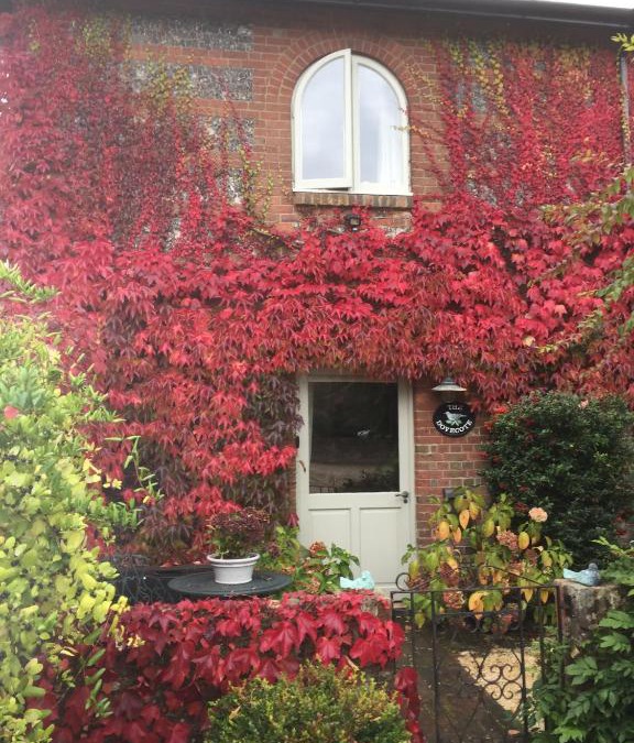 Bishopstone Villa | The Dovecote, Stoke Farthing Courtyard