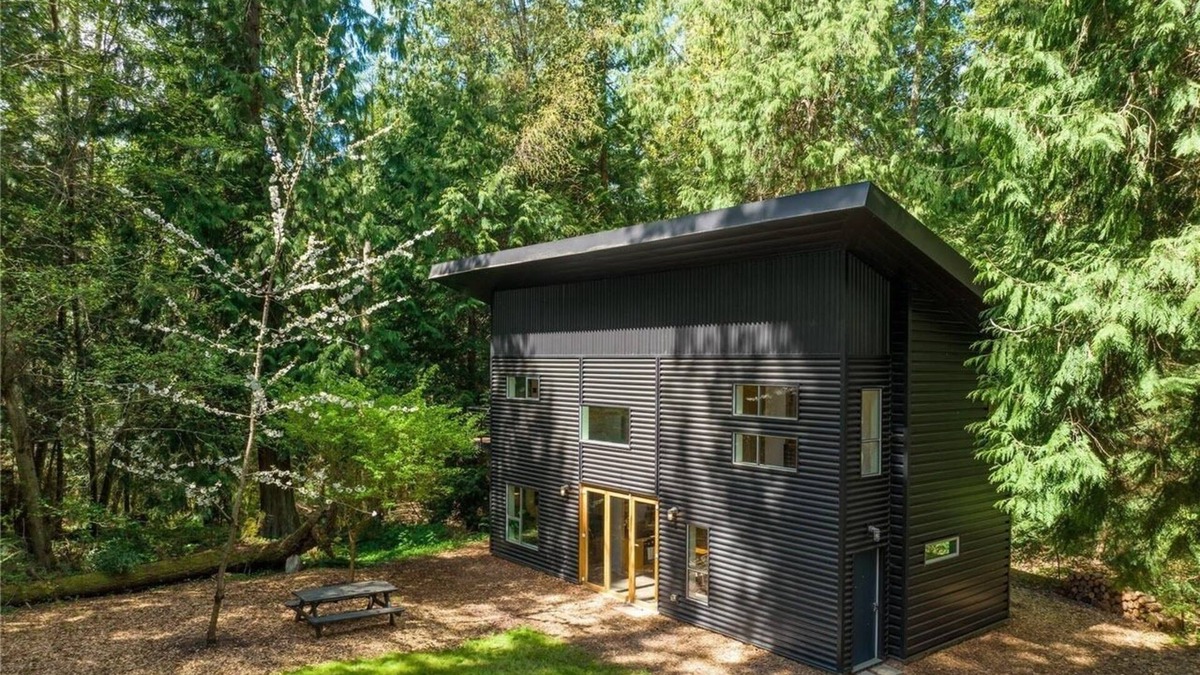Anacortes Cabin | The Dragonfly - so pet friendly we don't charge pet fees!