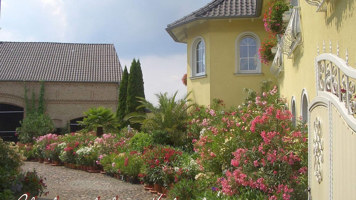 Nunsdorf Apartment | The dream of the south in the state of Brandenburg, 20 km south of Berlin