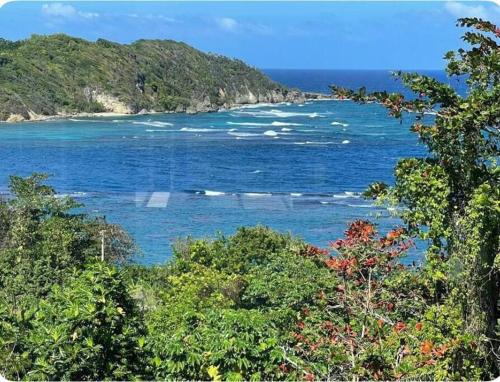 Robins Bay House | The Dream St Mary