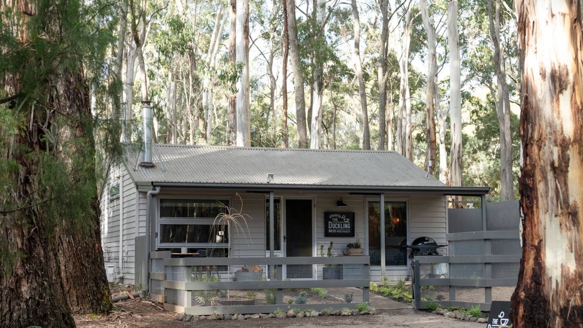 Wheatsheaf House | The Duckling, tucked among the towering gum trees