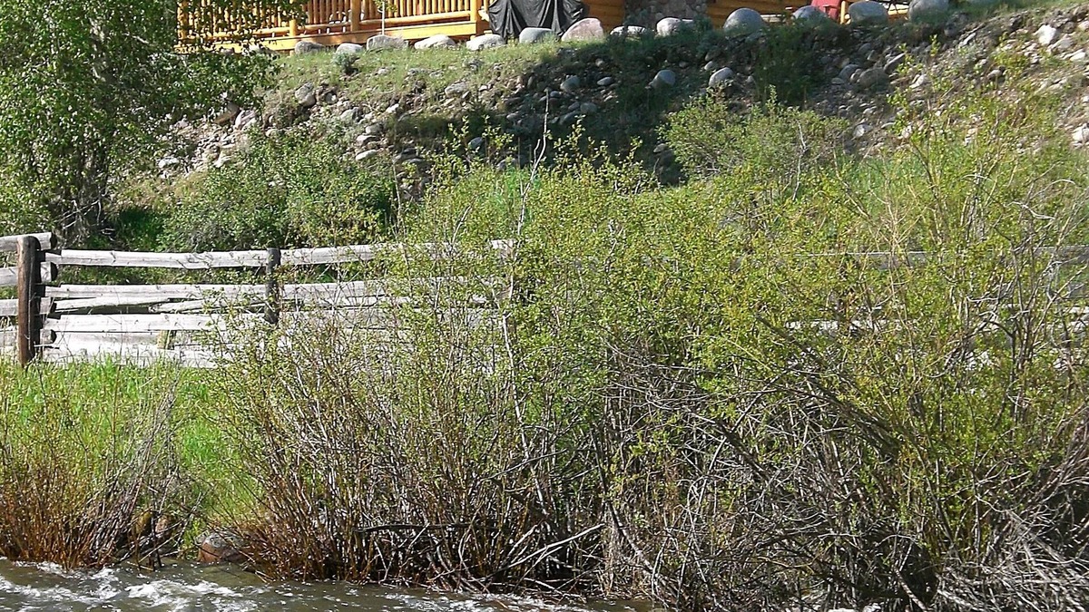 Philipsburg Cabin | The" Eaglesnest" Is A High End Cabin Over Looking Rock Creek.