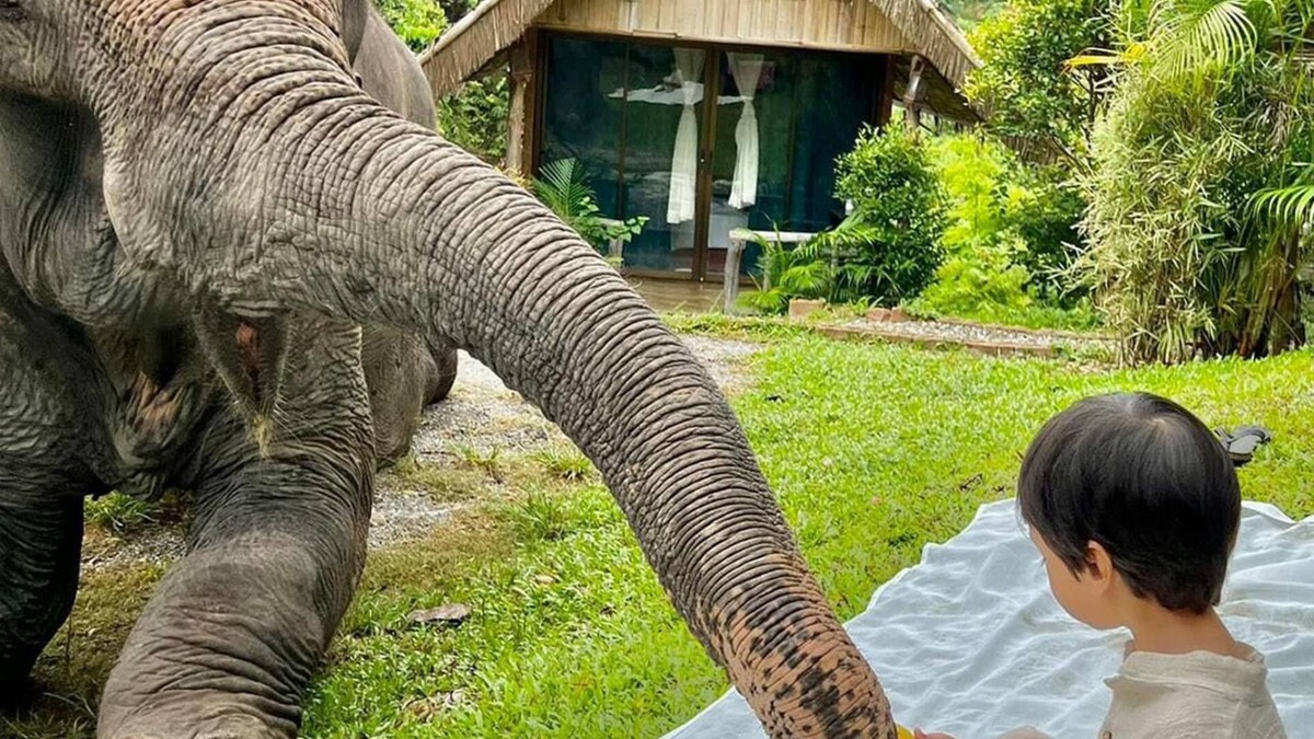Mae Wang Cabin | The Elephant B&B
