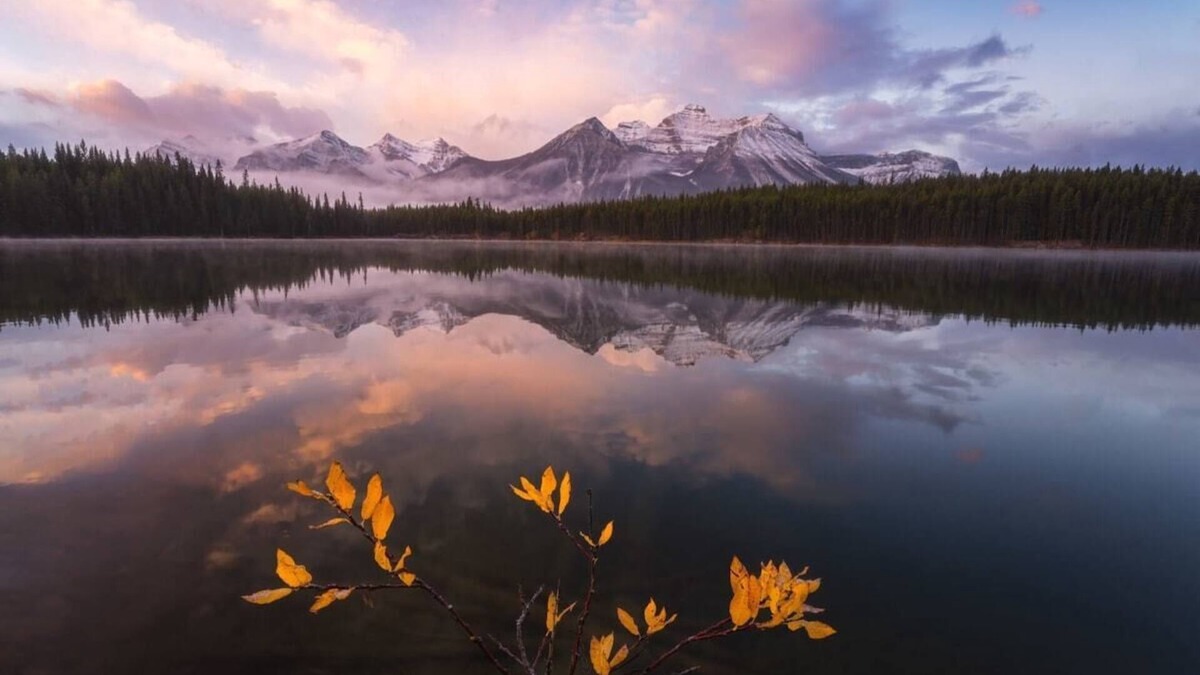Canmore Ski Chalet | ⭐The Elliot by Samsara |2BR&2.5BATHROOM