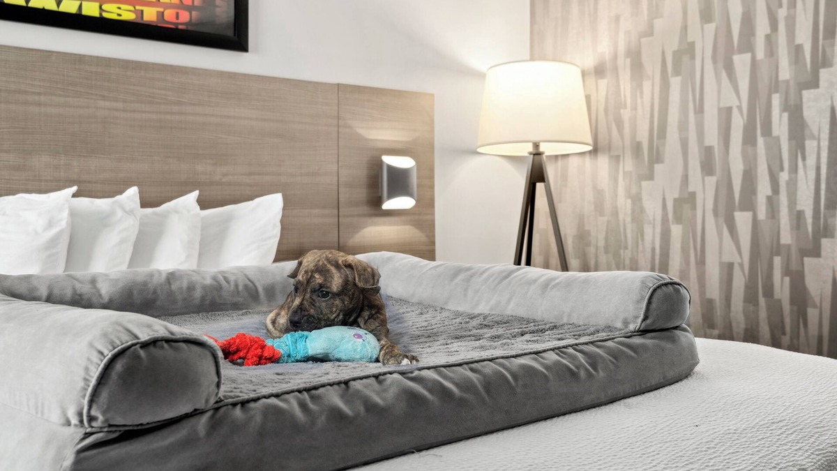 Waterville Hotel | The Elmwood