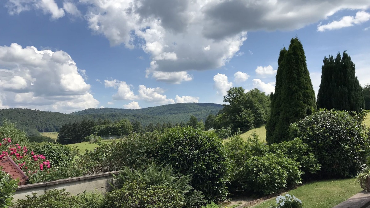 Hirschhorn House | "The Enchanted Cottage" is a chic private garden apartment with gorgeous views.