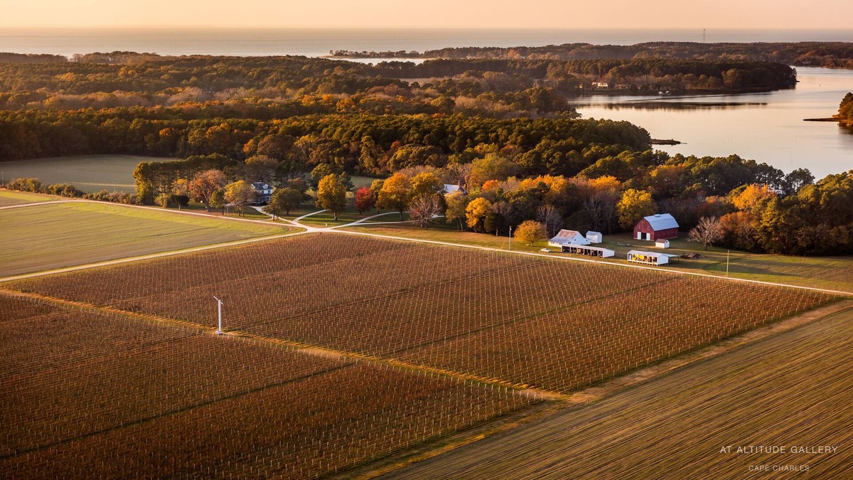 Birdsnest House | The Farmhouse at Chatham Vineyards