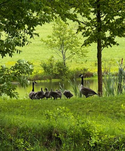 Morton House | The Farmhouse at Deer Run