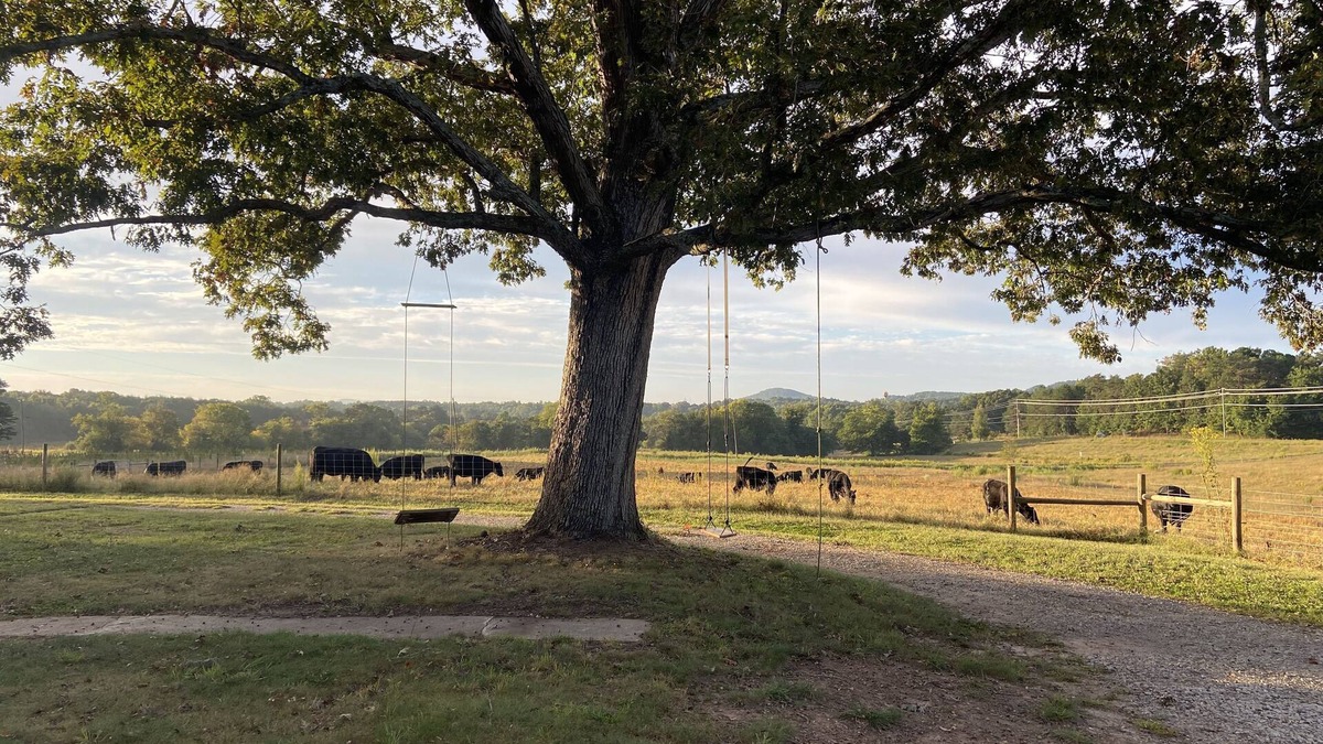 Connellys Springs Other | The Farmhouse at Highlands Family Farms