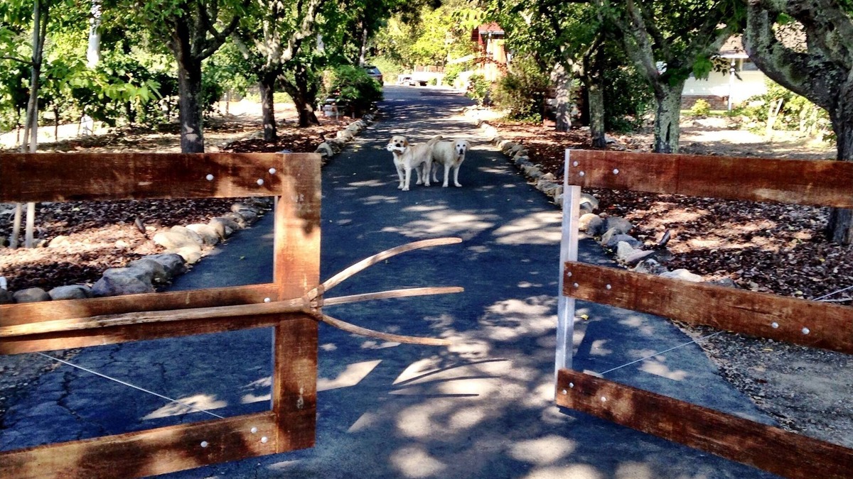 Oak Knoll Other | The Farmhouse Vineyard