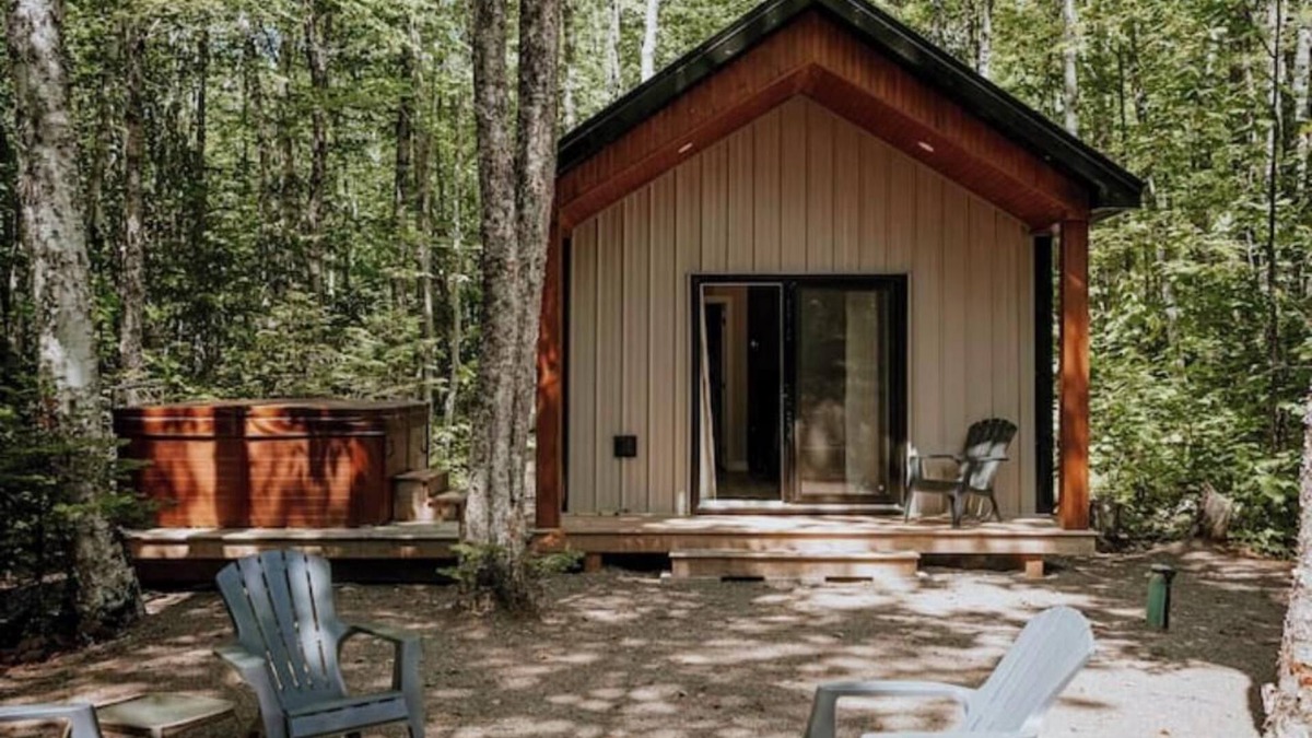 Albany Cabin | The Fauna Cozy Cabin