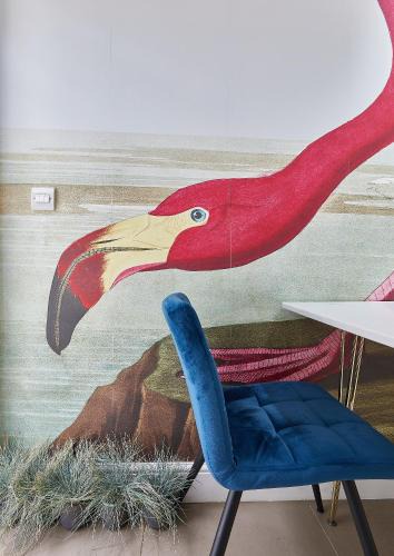 Mildmay Apartment | The Flamingo