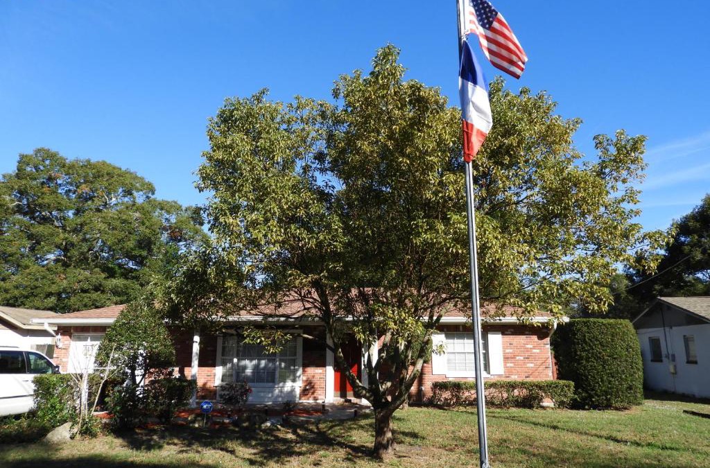 Bearss Plaza Villa | The Flo's House