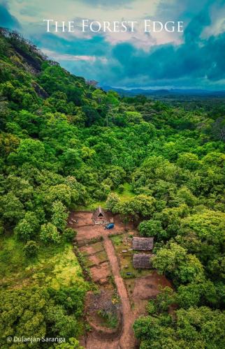 Dambulla House | The Forest Edge Resort