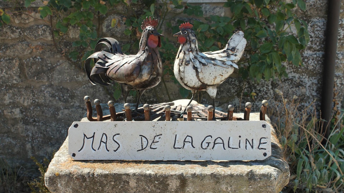 Menerbes Cottage | THE GALINE