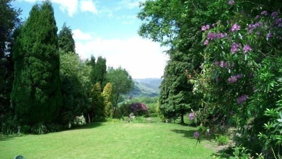 Machynlleth Cottage | The Gallery