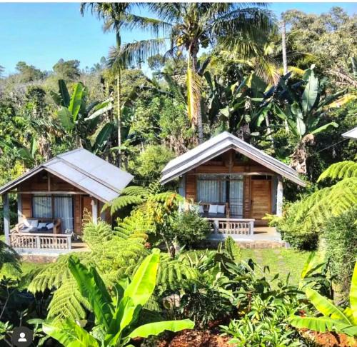 Moni House | The Geckos Homestay