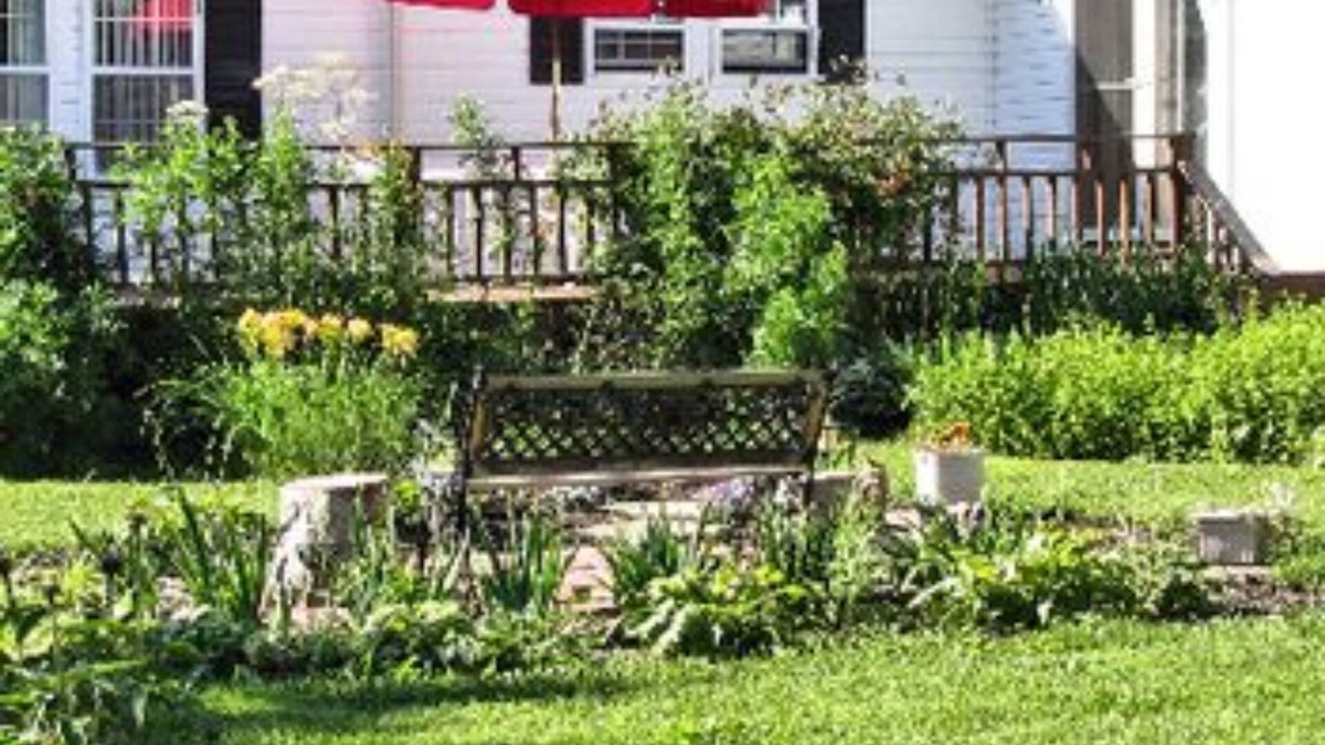 Rock Stream Bed & Breakfast | The Ginger Cat Bed & Breakfast