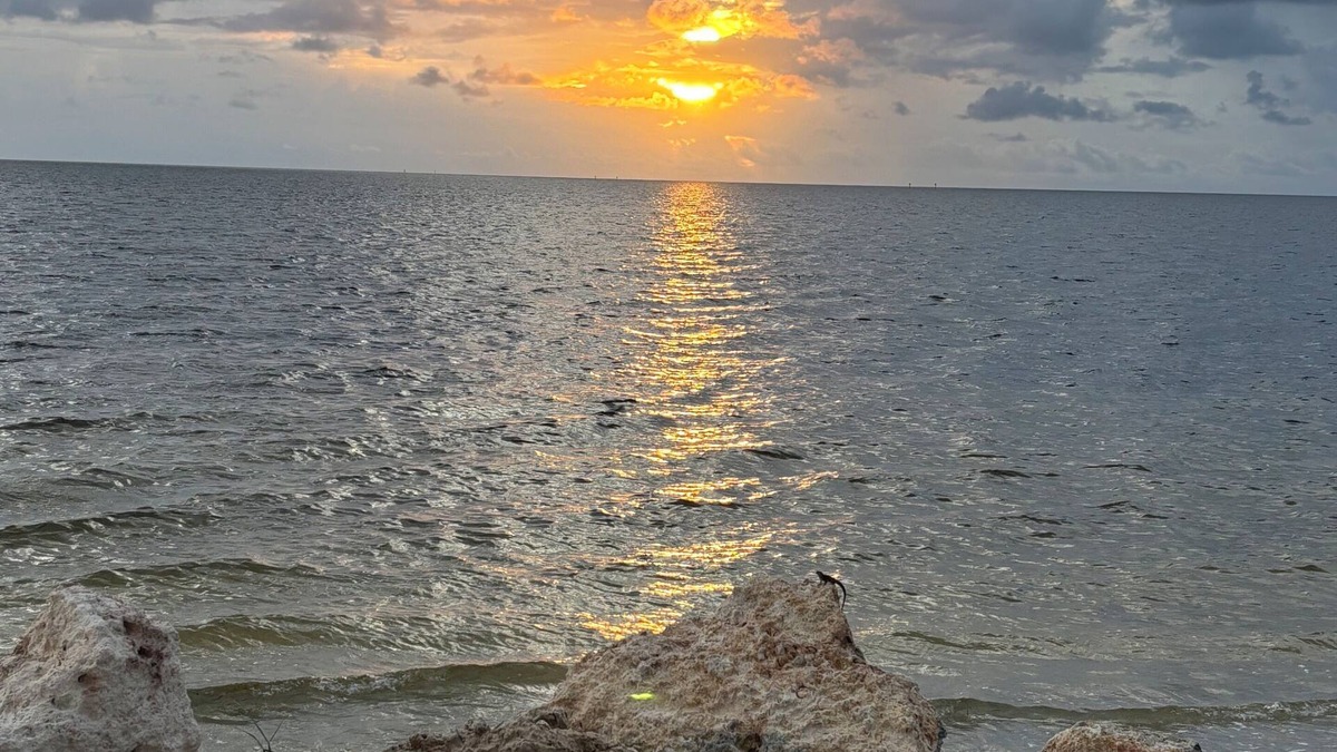 Flor-a-mar House | The Golden Pelican – Your Waterfront Escape in Gulf Harbors
