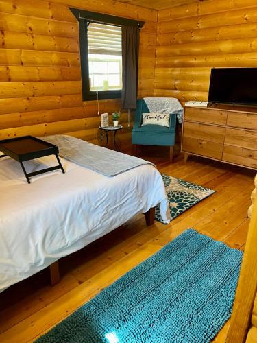 Alamosa House | The Gratitude Homestay
