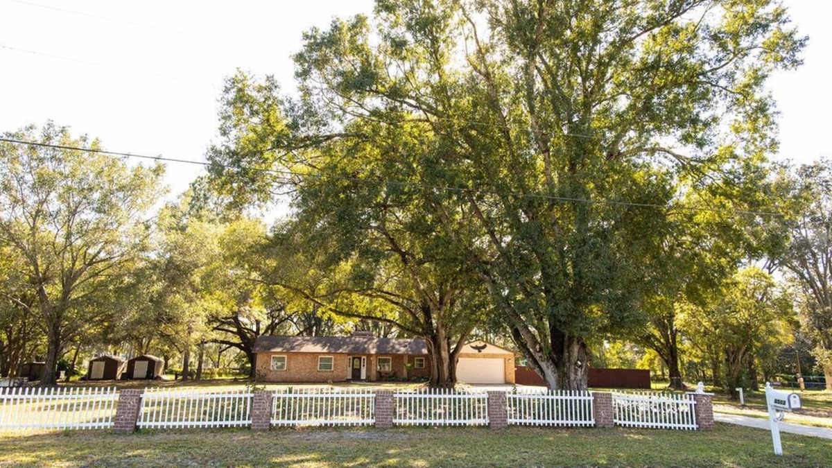 Wesley Chapel House | "The Green" getaway home plus pool in Wesley Chapel Florida