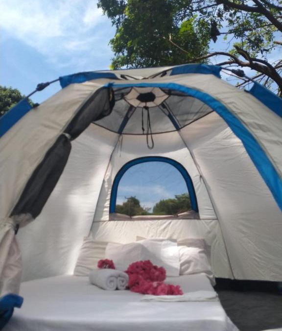 Mto wa Mbu Bed & Breakfast | The Green Parrot Campsite & Lodge
