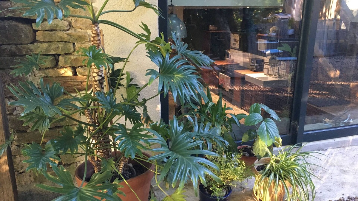 Beurizot House | The Greenhouse