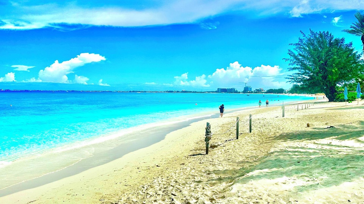 Seven Mile Beach Apartment | The Grove