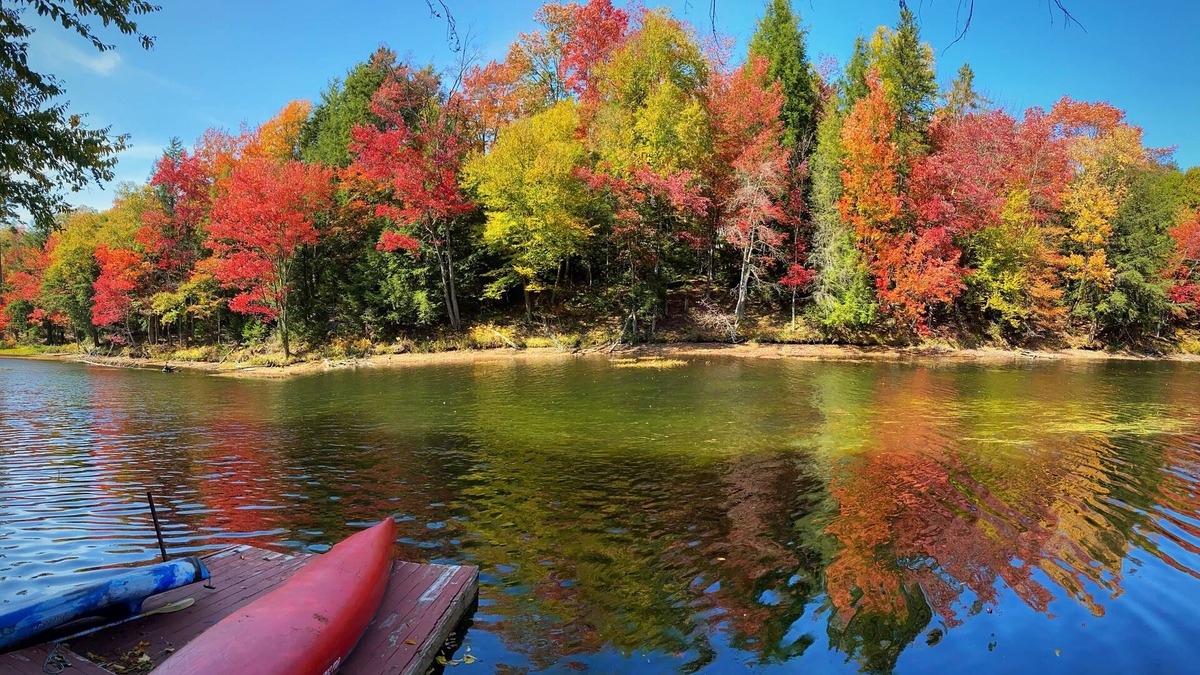 Old Forge Cottage | The Guide’s River Cottage Riverfront Retreat + Walk to Town