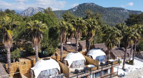 Cirali Ski Chalet | The Hill Glamping Çıralı