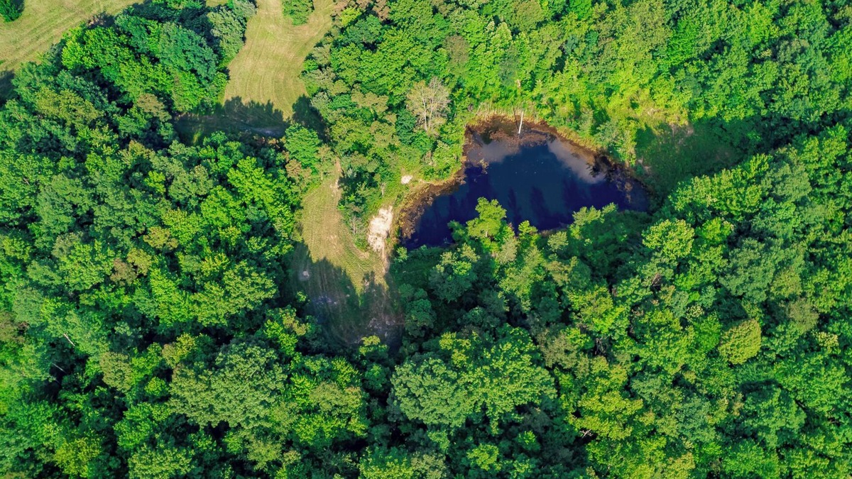 Hamden Cabin | The Hilltop at Puritan Ridge, sleeps up to 14 guests near Ohios top attractions!