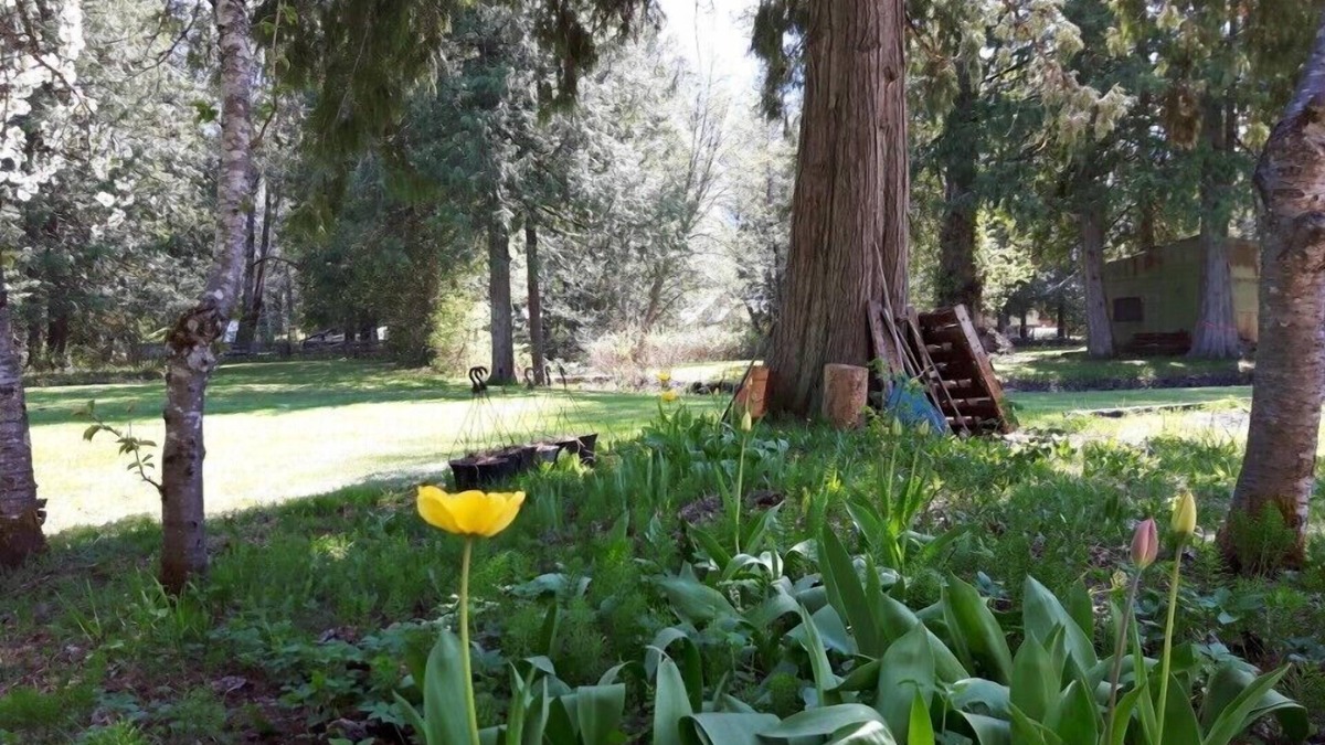 Mount Currie Hotel | The Hitching Post Motel