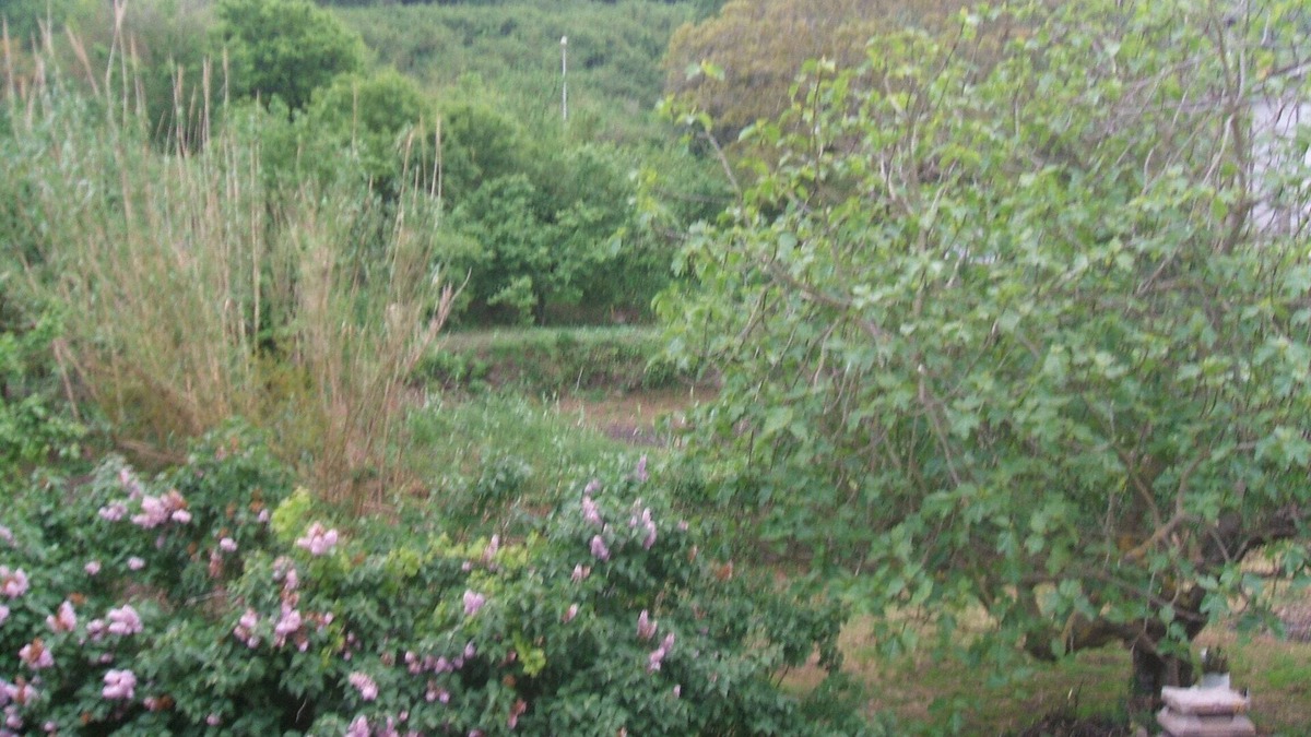 Villanova Monteleone Bed & Breakfast | THE HOUSE OF ROSES INDEPENDENT ROOMS WITH PRIVATE BATHROOM