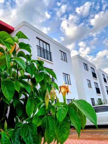 Kiambu Apartment | The House Beautiful, Tatu City