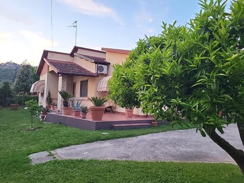 Stiava House | The House of Citrus - amazing country house near Viareggio beach and Lucca