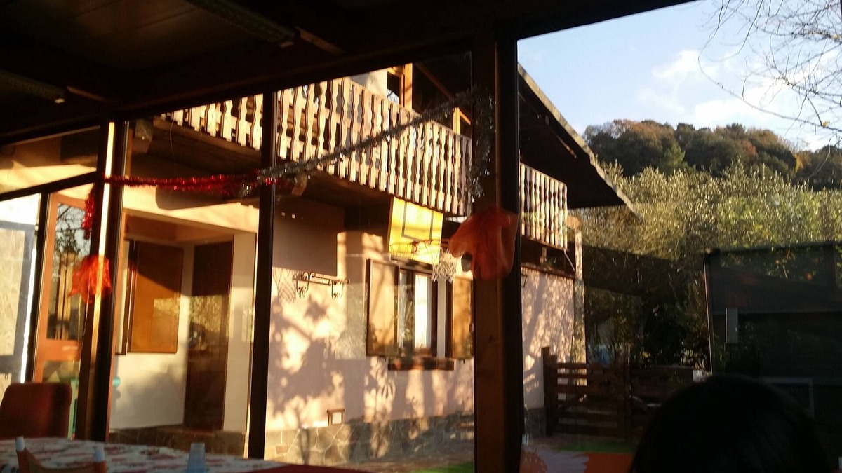 Ossi Ski Chalet | "The House of the Elves"
